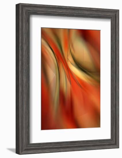 Happy New Year-Ursula Abresch-Framed Photographic Print