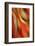 Happy New Year-Ursula Abresch-Framed Photographic Print