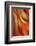 Happy New Year-Ursula Abresch-Framed Photographic Print