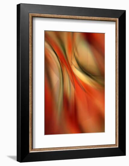 Happy New Year-Ursula Abresch-Framed Photographic Print