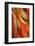 Happy New Year-Ursula Abresch-Framed Photographic Print