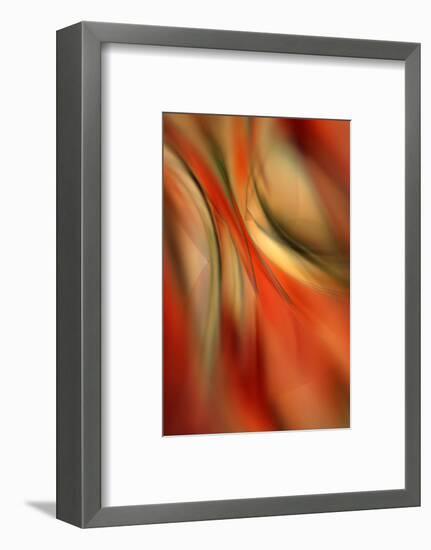 Happy New Year-Ursula Abresch-Framed Photographic Print