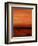 Happy Outlook IV-Joshua Schicker-Framed Giclee Print