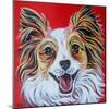 Happy Papillon-Carolee Vitaletti-Mounted Art Print