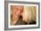 Happy Senior Couple-Science Photo Library-Framed Photographic Print