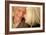 Happy Senior Couple-Science Photo Library-Framed Photographic Print