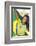 Happy Smiling Brazil Soccer Football Fan.... (Brazil World Cup Finals 2014)-BCFC-Framed Photographic Print