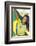 Happy Smiling Brazil Soccer Football Fan.... (Brazil World Cup Finals 2014)-BCFC-Framed Photographic Print