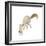 Happy Squirrel-null-Framed Art Print