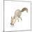 Happy Squirrel-null-Mounted Art Print