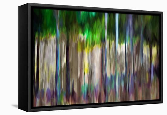 Happy Trees-Ursula Abresch-Framed Premier Image Canvas