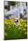 Happy Welsh Corgi Pembroke Dog Sitting in Yellow Dandelions Field in the Grass Smiling in Spring-BONDART-Mounted Photographic Print