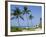 Hapuna Beach, Island of Hawaii (Big Island), Hawaii, USA-Ethel Davies-Framed Photographic Print