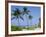 Hapuna Beach, Island of Hawaii (Big Island), Hawaii, USA-Ethel Davies-Framed Photographic Print