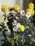 Chrysanthemums-Harald Martin Hansen Holm-Mounted Giclee Print