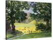 Stretched Canvas Print