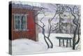 Stretched Canvas Print