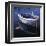 Harbor Glow-Tom Swimm-Framed Giclee Print