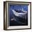 Harbor Glow-Tom Swimm-Framed Giclee Print