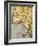 Harbor of Palos-Abraham Ortelius-Framed Giclee Print