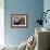 Harbor Seal on Bandon Beach, Oregon, USA-Joe Restuccia III-Framed Photographic Print displayed on a wall