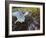 Harbor Seal on Bandon Beach, Oregon, USA-Joe Restuccia III-Framed Photographic Print