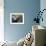 Harbor Seal on Bandon Beach, Oregon, USA-Joe Restuccia III-Framed Photographic Print displayed on a wall