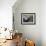 Harbor Seal on Bandon Beach, Oregon, USA-Joe Restuccia III-Framed Photographic Print displayed on a wall