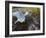 Harbor Seal on Bandon Beach, Oregon, USA-Joe Restuccia III-Framed Photographic Print