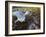 Harbor Seal on Bandon Beach, Oregon, USA-Joe Restuccia III-Framed Photographic Print