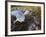 Harbor Seal on Bandon Beach, Oregon, USA-Joe Restuccia III-Framed Photographic Print