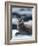 Harbor Seal on Ice Flow, Le Conte Glacier, Alaska, USA-Michele Westmorland-Framed Photographic Print