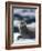 Harbor Seal on Ice Flow, Le Conte Glacier, Alaska, USA-Michele Westmorland-Framed Photographic Print