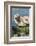 Harbor Seal on the Coast of the Shetland Islands. Scotland-Martin Zwick-Framed Photographic Print