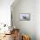 Harbor Seal on the Coast of the Shetland Islands. Scotland-Martin Zwick-Framed Premier Image Canvas displayed on a wall