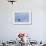 Harbor Seal on the Coast of the Shetland Islands. Scotland-Martin Zwick-Framed Photographic Print displayed on a wall