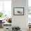 Harbor Seal on the Coast of the Shetland Islands. Scotland-Martin Zwick-Framed Photographic Print displayed on a wall