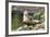 Harbor Seal on the Coast of the Shetland Islands. Scotland-Martin Zwick-Framed Photographic Print