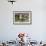 Harbor Seal on the Coast of the Shetland Islands. Scotland-Martin Zwick-Framed Photographic Print displayed on a wall