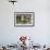 Harbor Seal on the Coast of the Shetland Islands. Scotland-Martin Zwick-Framed Photographic Print displayed on a wall