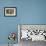 Harbor Seal on the Coast of the Shetland Islands. Scotland-Martin Zwick-Framed Photographic Print displayed on a wall