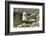 Harbor Seal on the Coast of the Shetland Islands. Scotland-Martin Zwick-Framed Photographic Print