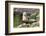 Harbor Seal on the Coast of the Shetland Islands. Scotland-Martin Zwick-Framed Photographic Print