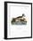 Harbor Seal-null-Framed Giclee Print