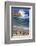 Harbor seals, La Jolla, San Diego, California, United States of America, North America-Richard Cummins-Framed Photographic Print