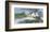 Harbor Sentinel-Albert Swayhoover-Framed Art Print