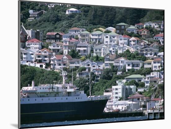 Harbour and Houses, Wellington, North Island, New Zealand-Adam Woolfitt-Mounted Photographic Print