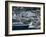 Harbour and Houses, Wellington, North Island, New Zealand-Adam Woolfitt-Framed Photographic Print