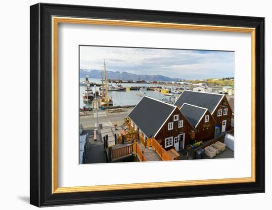 Harbour, Husavik, Iceland, Polar Regions-Miles Ertman-Framed Photographic Print