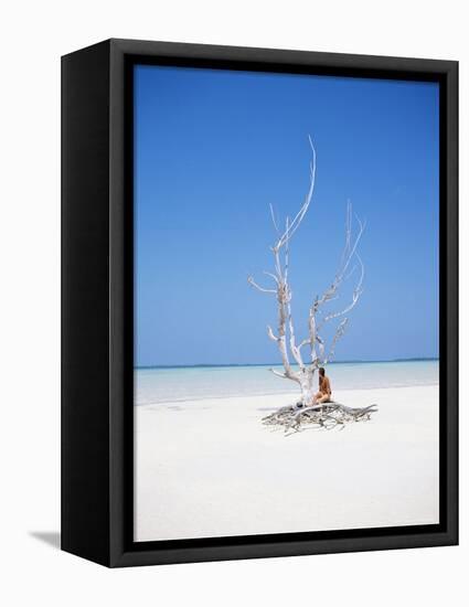 Harbour Island, Bahamas, West Indies, Central America-J Lightfoot-Framed Premier Image Canvas